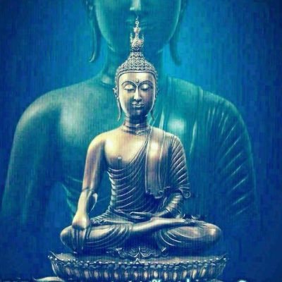 15ake289's profile picture. Love coin