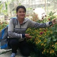 Redmond Hardaker ❤️ Memecoin (@hardakerredmond) 's Twitter Profile