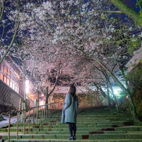 フォトグラファー/長崎を中心とした九州北部の風景写真メイン・赤外線写真も好き/α7ⅲ