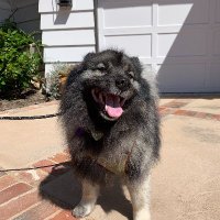 tiff 💌💋🐾 (@sharpestfork) 's Twitter Profile