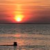 Seaside Cottage (@seasidecottage5) Twitter profile photo Seaside Cottage (@seasidecottage5) Twitter profile photo