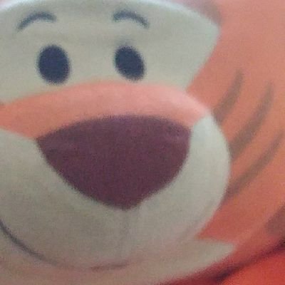 LolCapper's profile picture. decent fortnite player *cough cough bot* woah who said that. casper you there?