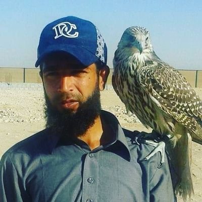 Qaiser42084473's profile picture. 