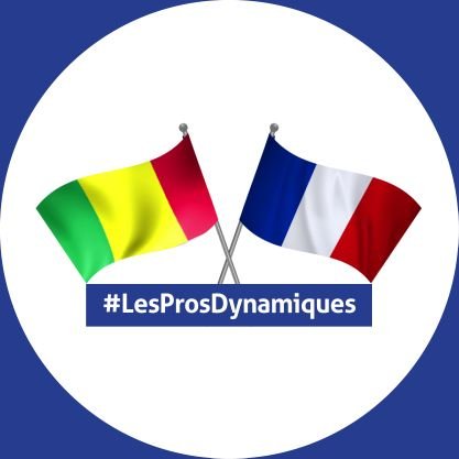 prosdynamiques Profile Picture