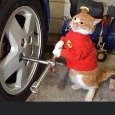 antagonist556's profile picture. 