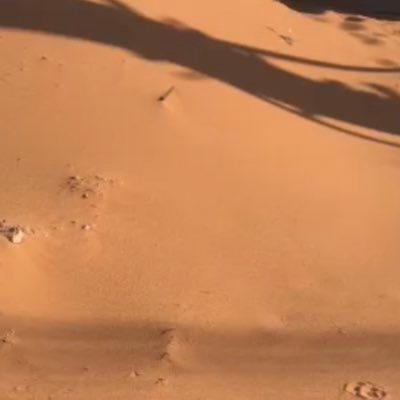 بكالوريوس هندسة ، بكالوريوس ادارة اعمال، ماجستير السلامه والصحة المهنية. مهتم بالأمن السببراني