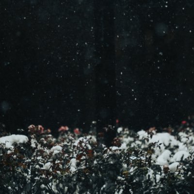 benjamedelstein's profile picture. https://t.co/MISg1lQchg