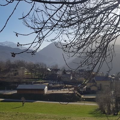 CRInactif's profile picture. 