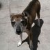 Fernando Gutierrez Arciniega (@fernand60252637) Twitter profile photo Fernando Gutierrez Arciniega (@fernand60252637) Twitter profile photo