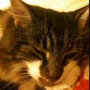 Michelle Nitz - @yulemic - Twitter