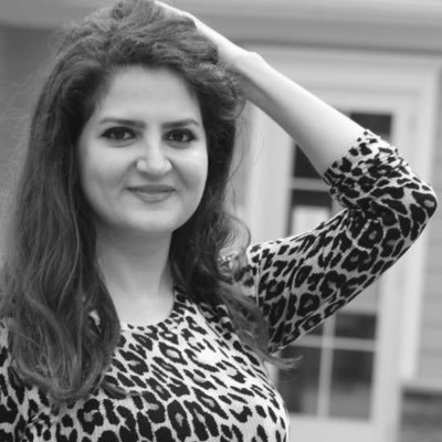 shafaghi02's profile picture. 