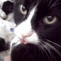 Holly A Taylor (@hollytatc) 's Twitter Profile Photo Holly A Taylor (@hollytatc) 's Twitter Profile Photo