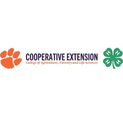 Official page of South Carolina 4-H 
@cuesnews  | CU 🐅
Join #SC4H today! #4hgrowshere🌴🍀