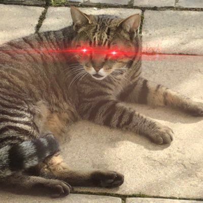 Tom_Crypto_BTC's profile picture. #Bitcoin