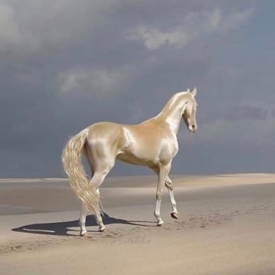 مزاجيّة أكره الأوامر ولاأطيق الكذب صامتة بعض الأحيان ورسمية جداً مع من لا يروقون لي