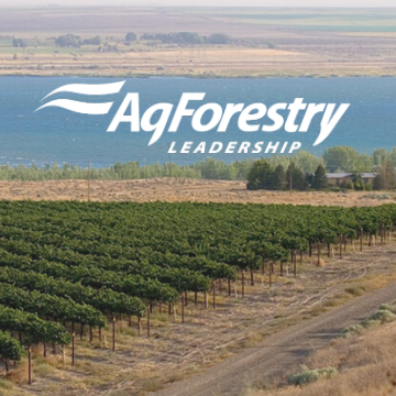 AgForestry is a leadership development program for adults working in Washington State’s agriculture, forestry and natural resources industries.