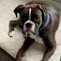 Wendy Bittner (@wlt626b1010) 's Twitter Profile
