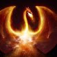 CenterPhoenixY1's profile picture. I survived 2020!