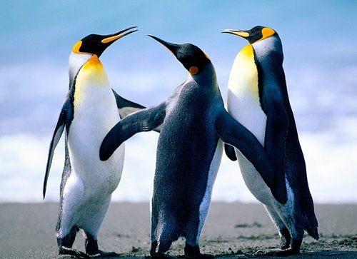 centrina1's profile picture. love cash, lots of cash, i am always excited about making cash. Love nature,love people, love God, love music, dancing, movies and arts