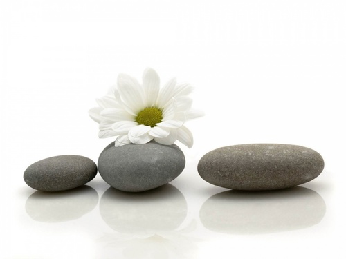 meryarroyo's profile picture. 