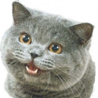 CTF player | https://t.co/qfpNfBaxFK | https://t.co/fpmI3UGuh8