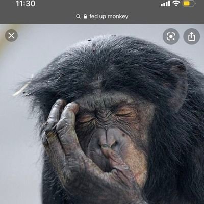 fedupmonkey's profile picture. ☭