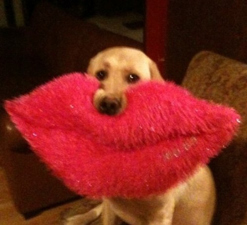 TheGdamnBoss's profile picture. 