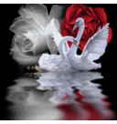 amanda rule - @tremough - Twitter