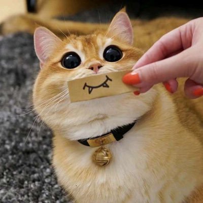 NJWM4ENLARmv6WY's profile picture. ababababab