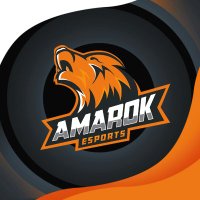 Amarok Esports (@amarokesports) 's Twitter Profile Photo