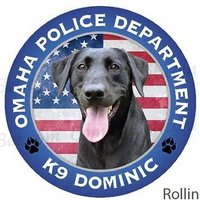 OPDK9Dominic (@dominic_k9) 's Twitter Profile Photo OPDK9Dominic (@dominic_k9) 's Twitter Profile Photo