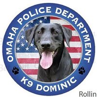 OPDK9Dominic(@dominic_k9) 's Twitter Profileg