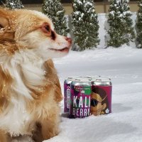 Akshar Patel (@akclick47) 's Twitter Profile