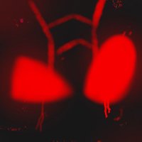 Red-Back (Comms are Open :p) (@red_back1854) 's Twitter Profile Photo Red-Back (Comms are Open :p) (@red_back1854) 's Twitter Profile Photo