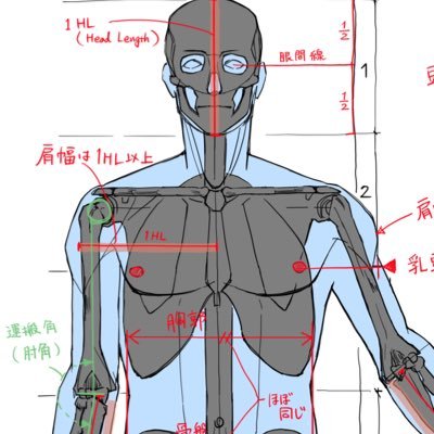 絵を描くゼネコン一級建築士。京都芸術大学通信教育部イラストレーションコース非常勤講師(美術解剖学_添削)。楽しく絵を描こう。 同人誌・グッズ・ Tシャツ→ https://t.co/Sp4pjFJYKm