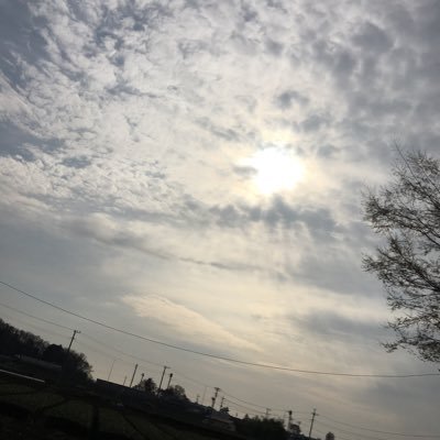 livehouseismine's profile picture. 