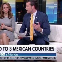 TheFoxChyron (@foxchyron) 's Twitter Profile