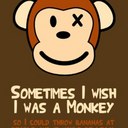 Andy Sword - @anderzzz - Twitter