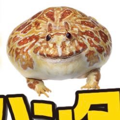 goro_1004's profile picture. 全落ちない