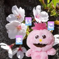 舞子🌸🍓 (@sakuramaiko) Twitter profile photo