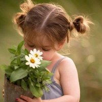 afhika Azahra (@afhikaazhara) 's Twitter Profile Photo afhika Azahra (@afhikaazhara) 's Twitter Profile Photo