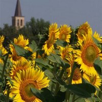 Love Umbria Tours(@loveumbria) 's Twitter Profile Photo