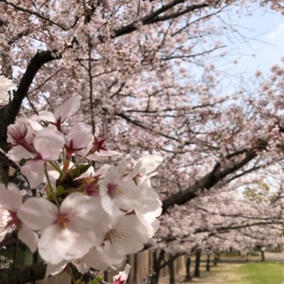 りん太さんのプロフィール画像