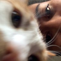 Nicola Paul (@nickle_uhh) 's Twitter Profile