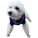 tamong115's profile picture. 