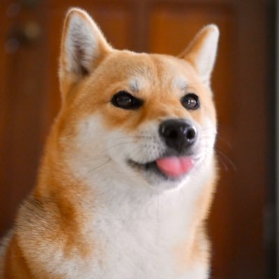 Rakkiiさんのプロフィール画像