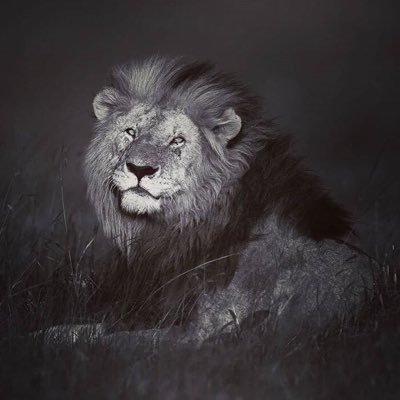 oilmoneyofNY's profile picture. Lawyer in Training. Jesus is our Hope.