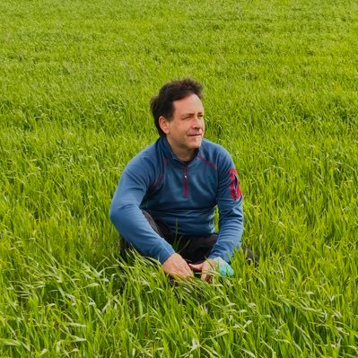 Asier Iragorri Profile