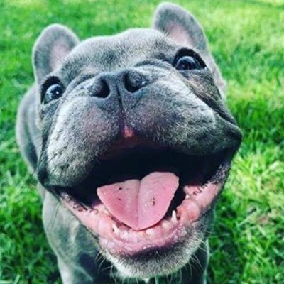 Most entertaining instagram account just joined twitter - https://t.co/Z6WPTdemAx…