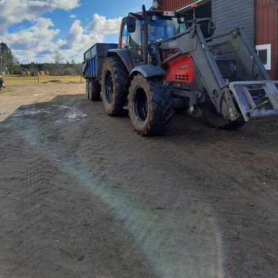 MBananana7's profile picture. 